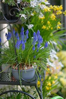 Garden Pots